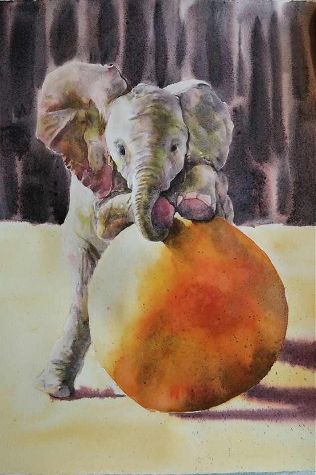 Finished Adlale 17x13 Feb 3 2017.jpg