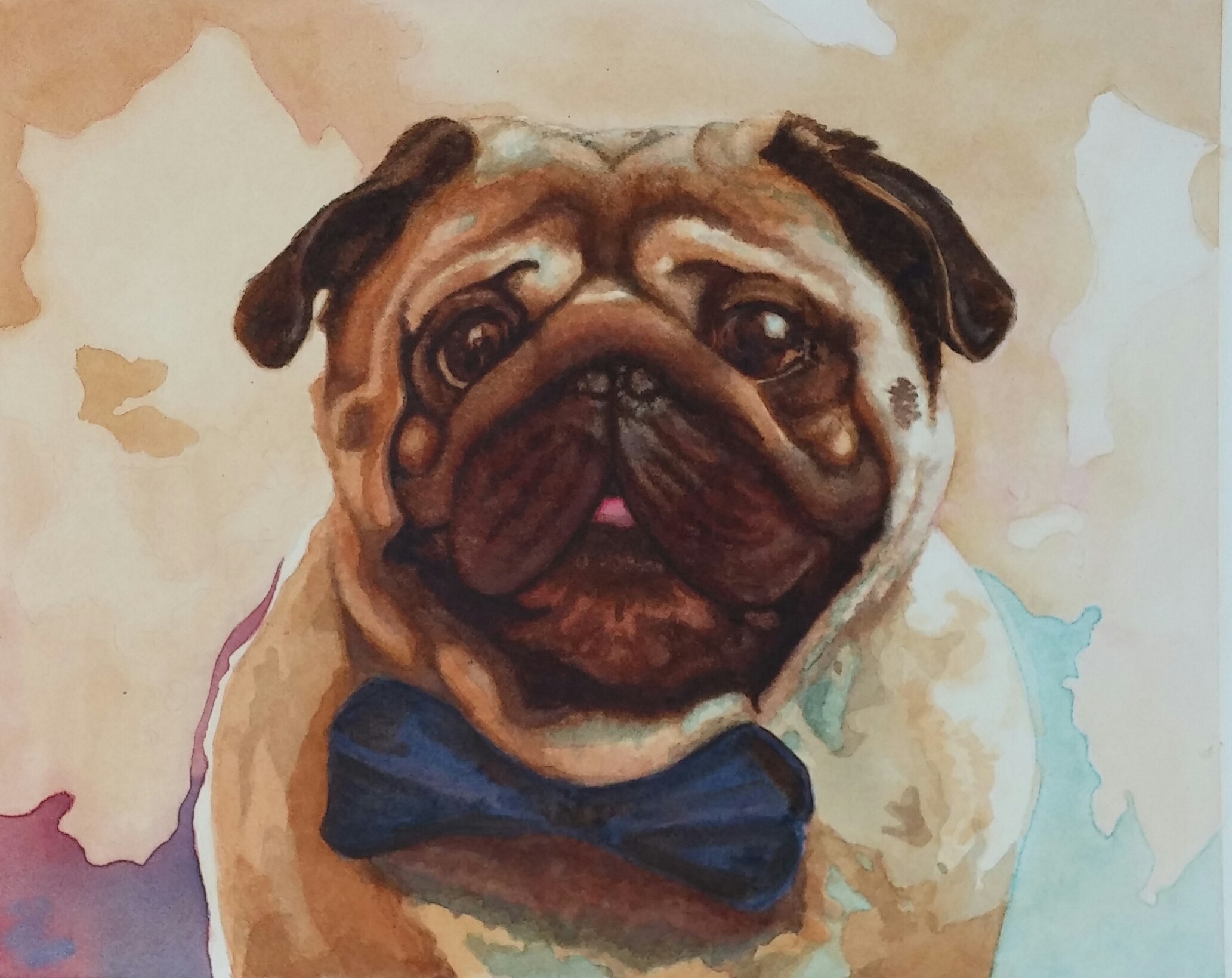 pug.jpg